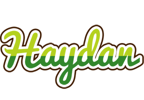 Haydan golfing logo