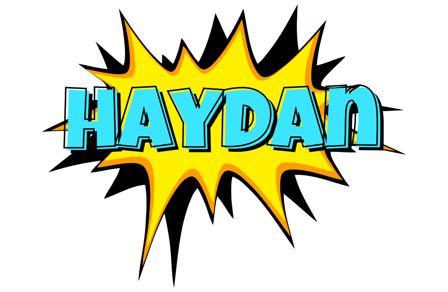 Haydan indycar logo