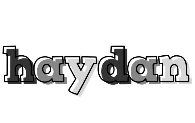 Haydan night logo