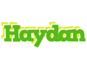 Haydan picnic logo