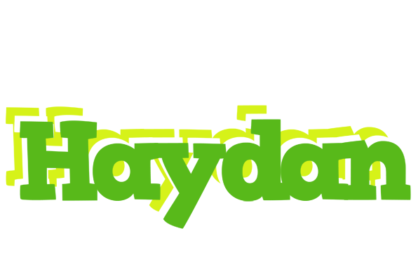 Haydan picnic logo