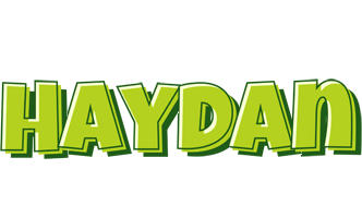 Haydan summer logo