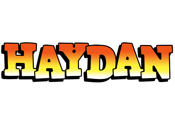 Haydan sunset logo