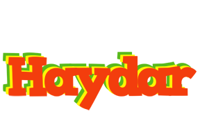 Haydar bbq logo