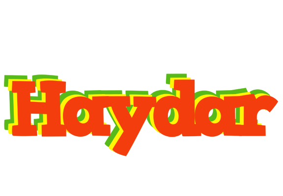 Haydar bbq logo