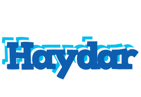 Haydar business logo