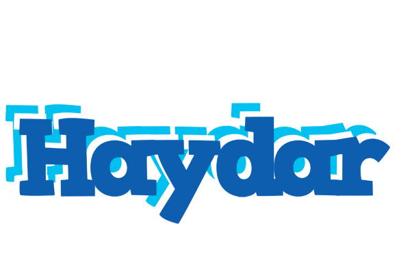 Haydar business logo
