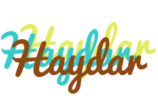 Haydar cupcake logo