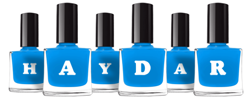 Haydar glossy logo