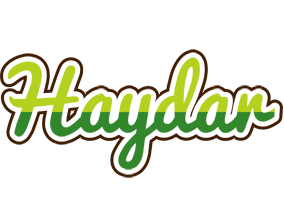 Haydar golfing logo