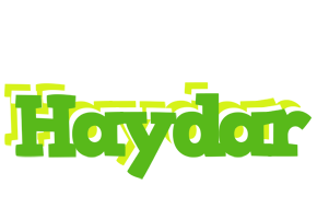 Haydar picnic logo