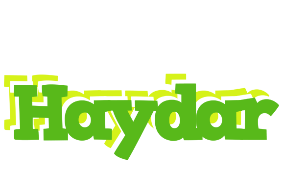 Haydar picnic logo