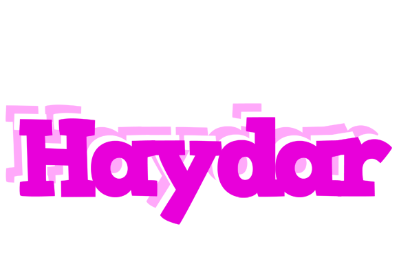 Haydar rumba logo