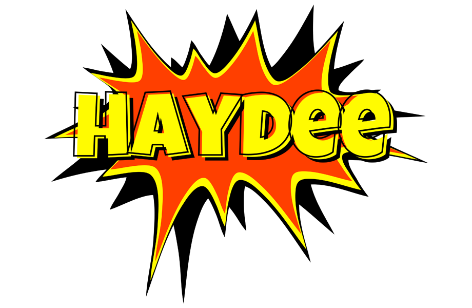 Haydee bazinga logo