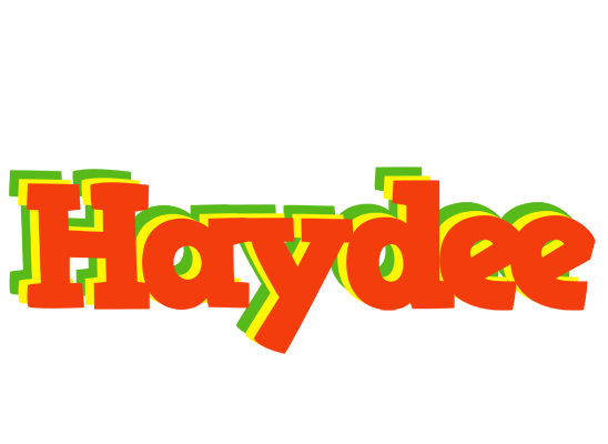 Haydee bbq logo