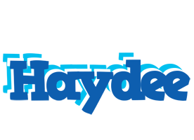 Haydee business logo