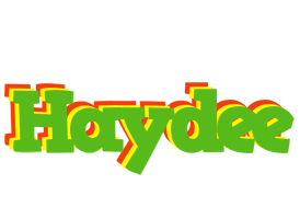 Haydee crocodile logo