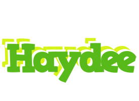 Haydee picnic logo