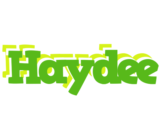 Haydee picnic logo