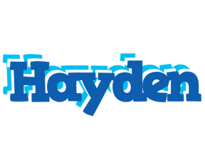 Hayden business logo