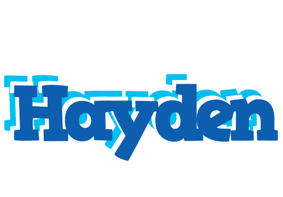 Hayden business logo