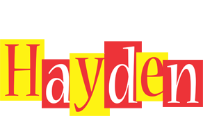 Hayden errors logo