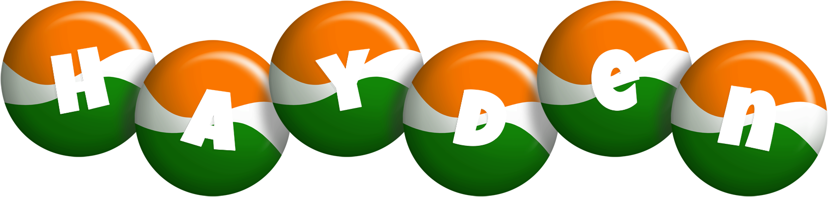Hayden india logo