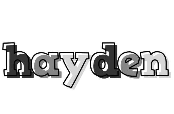 Hayden night logo