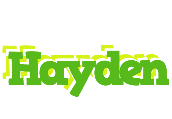 Hayden picnic logo