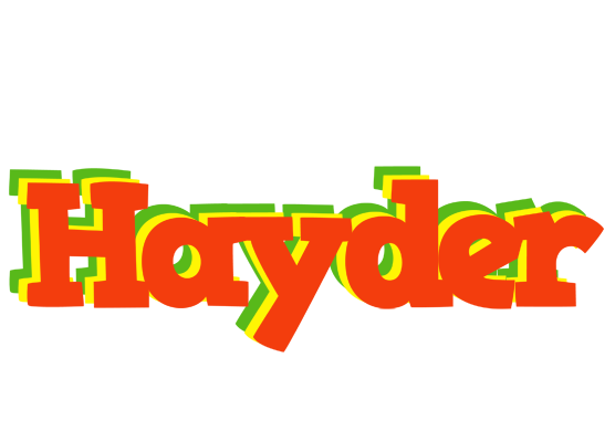 Hayder bbq logo