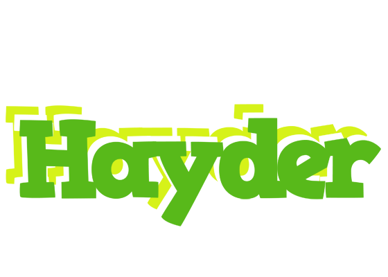 Hayder picnic logo