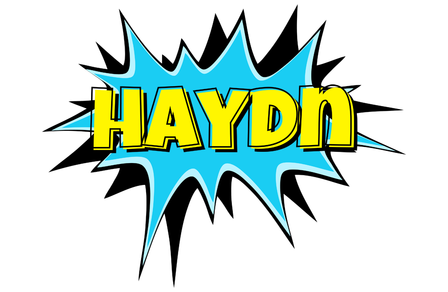 Haydn amazing logo