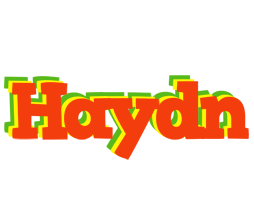 Haydn bbq logo