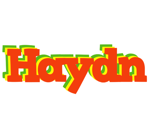 Haydn bbq logo