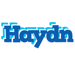 Haydn business logo