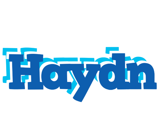 Haydn business logo