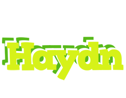 Haydn citrus logo