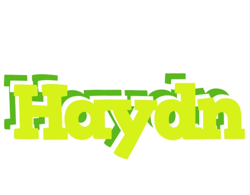 Haydn citrus logo