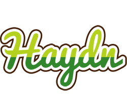 Haydn golfing logo