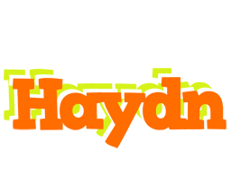 Haydn healthy logo