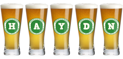 Haydn lager logo