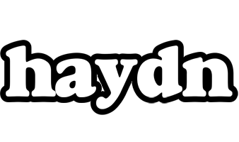 Haydn panda logo