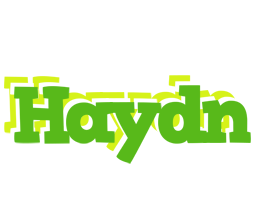 Haydn picnic logo