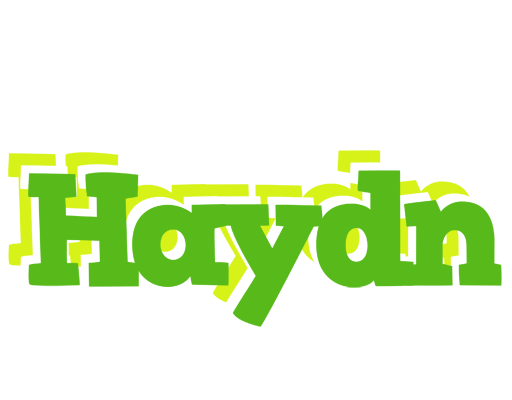 Haydn picnic logo
