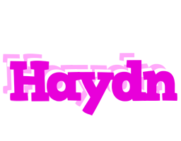 Haydn rumba logo