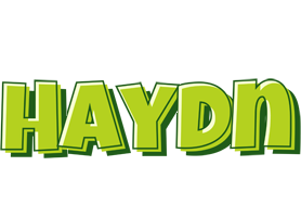 Haydn summer logo