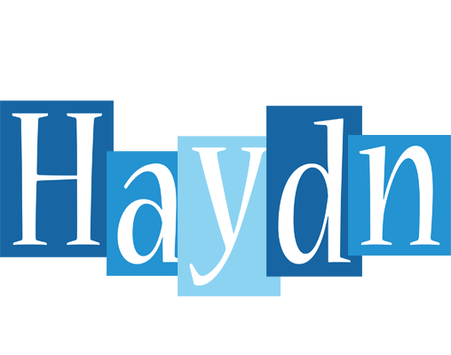 Haydn winter logo