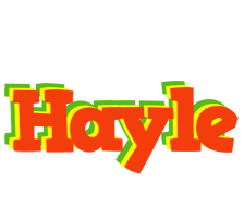 Hayle bbq logo