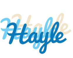 Hayle breeze logo