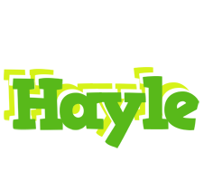 Hayle picnic logo